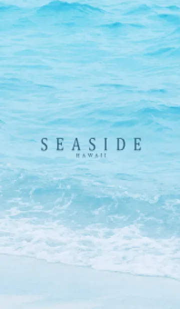 SEASIDE HAWAII-MEKYM 31の着せ替えメイン画像