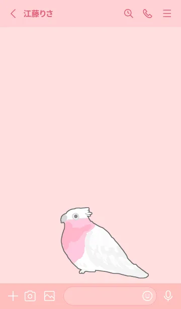 [LINE着せ替え] モモイロインコの画像2