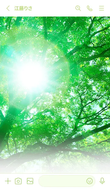 [LINE着せ替え] 木漏れ日 癒しの着せ替えの画像2