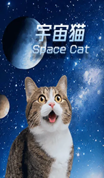 [LINE着せ替え] 【宇宙猫 Space Cat】驚くねこの画像1