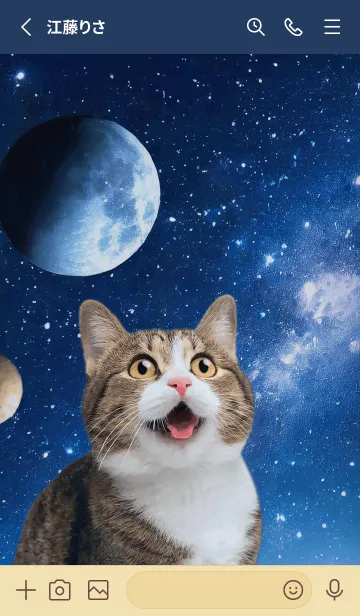 [LINE着せ替え] 【宇宙猫 Space Cat】驚くねこの画像2