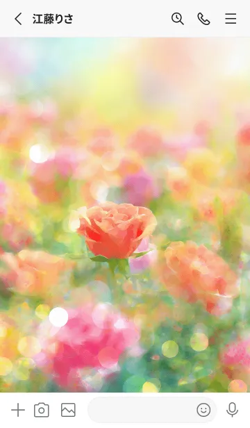 [LINE着せ替え] 薔薇(バラ)の花の着せかえ(R3681)の画像2