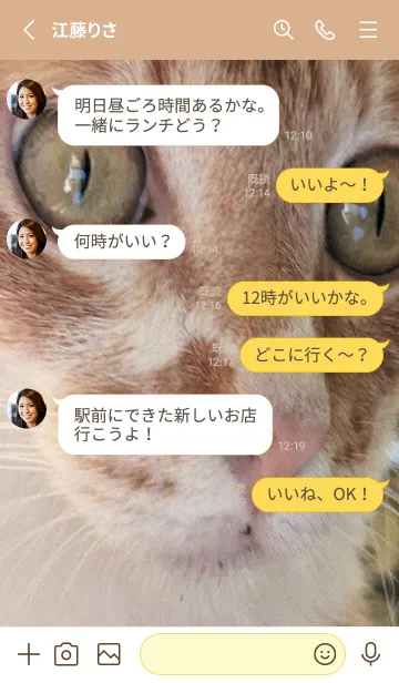 [LINE着せ替え] かわいい家の猫 uu0LGの画像3