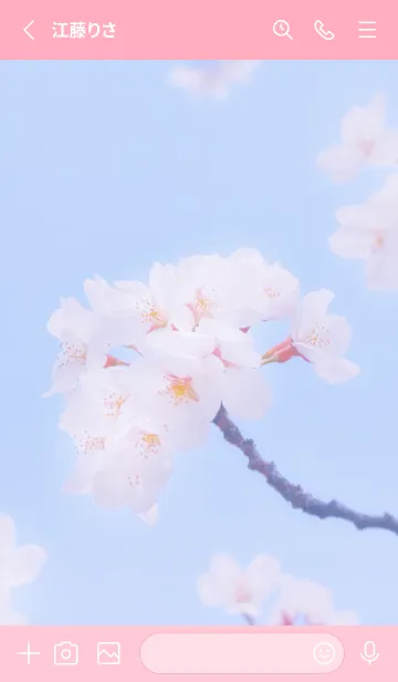 [LINE着せ替え] Sakura Photo 312 Not AIの画像2