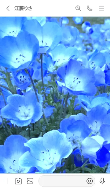 [LINE着せ替え] NEMOPHILA-Flowerの画像2