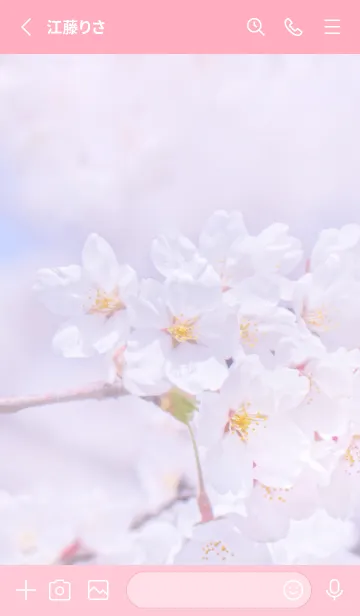 [LINE着せ替え] Sakura Photo 319 Not AIの画像2