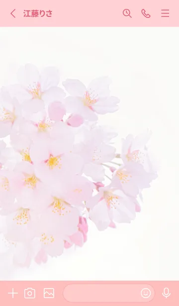 [LINE着せ替え] Real cherry blossom #1-7の画像2