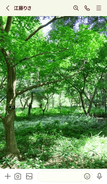 [LINE着せ替え] TREE OF THE SUMMER - MEKYM 18の画像2