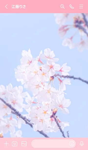 [LINE着せ替え] Sakura Photo 328 Not AIの画像2