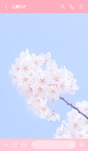 [LINE着せ替え] Sakura Photo 329 Not AIの画像2