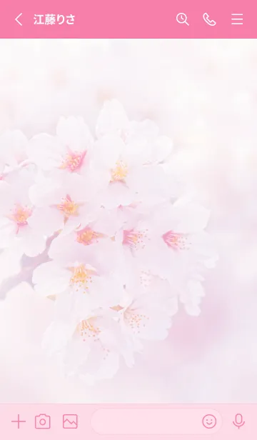 [LINE着せ替え] Real cherry blossom #3-7の画像2