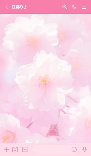 [LINE着せ替え] Real double cherry blossom #3-7の画像2