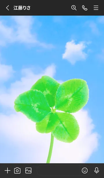 [LINE着せ替え] Real Lucky Clover 5-leaf#4-27の画像2