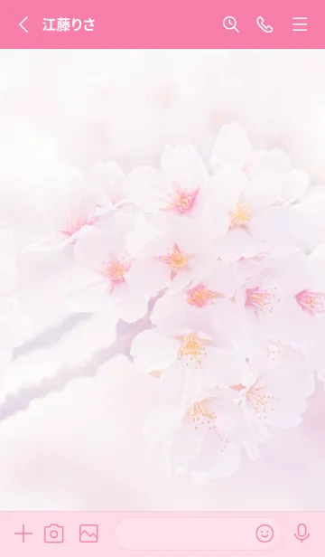 [LINE着せ替え] Real cherry blossom #4-7の画像2