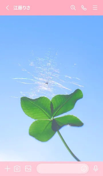 [LINE着せ替え] ケサランパサラン & Lucky clover #1-9の画像2