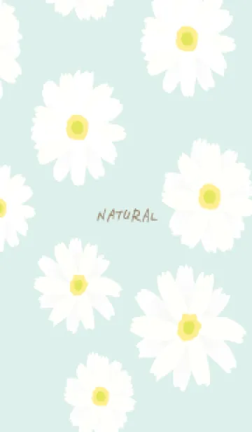 [LINE着せ替え] 白いマーガレット シンプル19の画像1