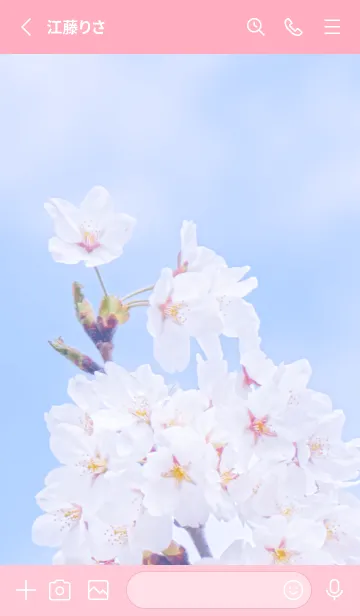 [LINE着せ替え] Sakura Photo 335 Not AIの画像2