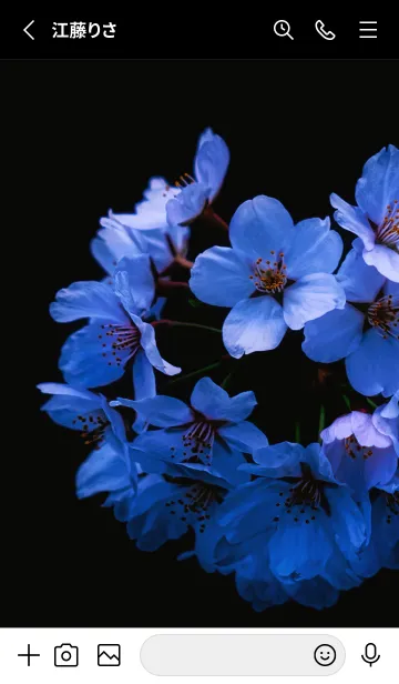 [LINE着せ替え] Real cherry blossom #6-7の画像2