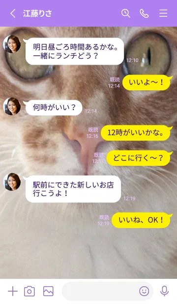 [LINE着せ替え] かわいい家の猫 mqOuvの画像3