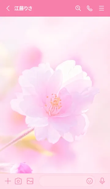 [LINE着せ替え] Real double cherry blossom #7-7の画像2