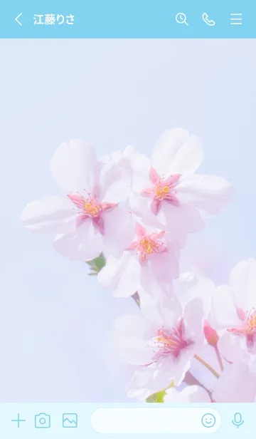 [LINE着せ替え] Real cherry blossom #8-7の画像2