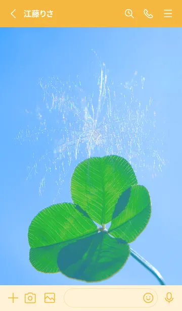 [LINE着せ替え] ケサランパサラン & Lucky clover #2-9の画像2