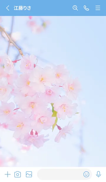 [LINE着せ替え] Real double cherry blossom #8-7の画像2