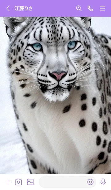 [LINE着せ替え] 夢幻の白いスノーヒョウ 7uC6rの画像2