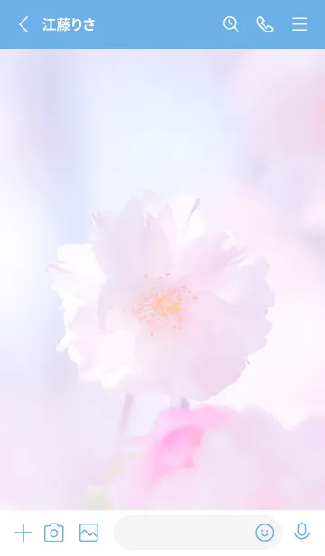 [LINE着せ替え] Sakura Photo 341 Not AIの画像2