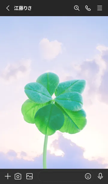 [LINE着せ替え] 本物ラッキークローバー 7-leaf #3-27の画像2