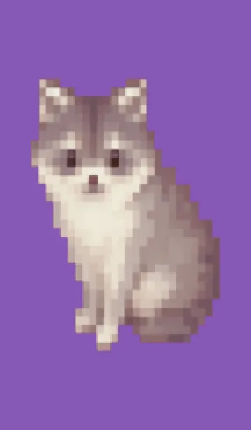 [LINE着せ替え] たぬきのドット絵のきせかえ Purple 01の画像1