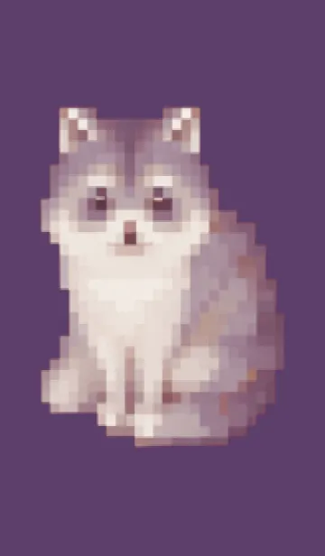 [LINE着せ替え] たぬきのドット絵のきせかえ Purple 05の画像1