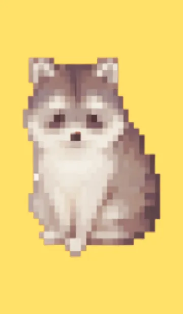 [LINE着せ替え] たぬきのドット絵のきせかえ Yellow 04の画像1