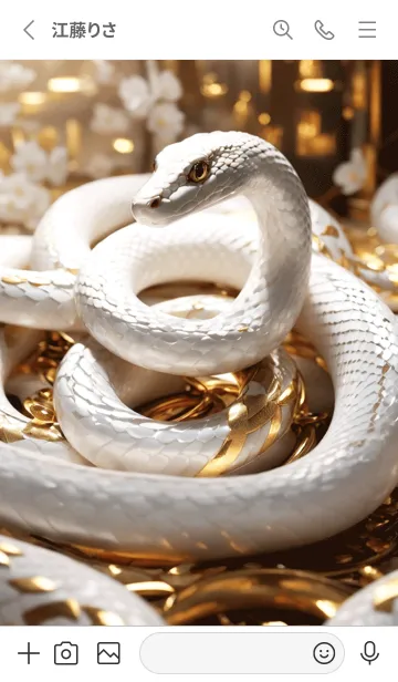 [LINE着せ替え] 最高最強金運風水 白蛇と黄金 幸運の62の画像2