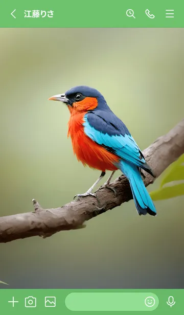 [LINE着せ替え] 美しい鳥のテーマ 06の画像2