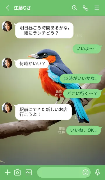 [LINE着せ替え] 美しい鳥のテーマ 06の画像3