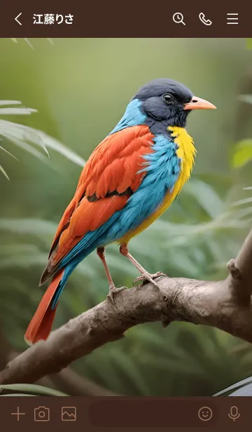 [LINE着せ替え] 美しい鳥のテーマ 03の画像2