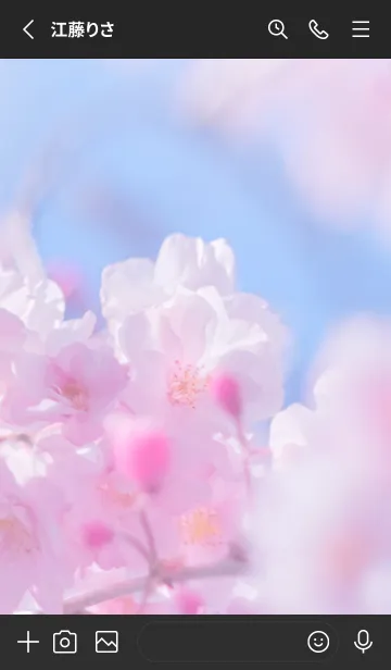 [LINE着せ替え] Sakura Photo 348 Not AIの画像2