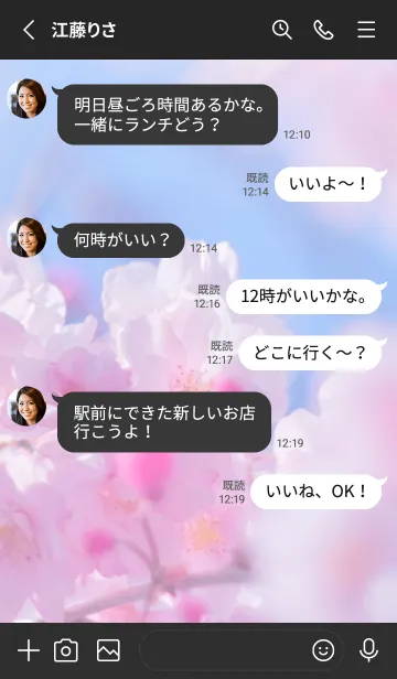 [LINE着せ替え] Sakura Photo 348 Not AIの画像3