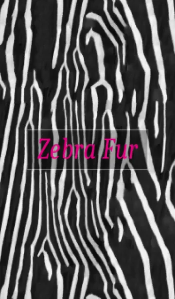 [LINE着せ替え] Zebra Fur 20の画像1