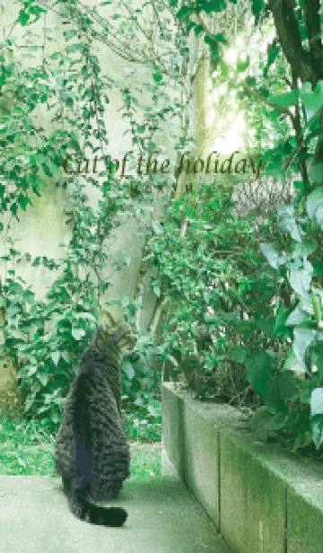 [LINE着せ替え] Cat of the holiday-GREEN 10の画像1