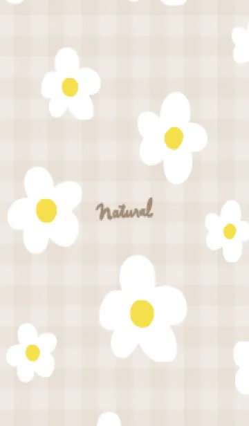 [LINE着せ替え] 北欧風 白い花22の画像1