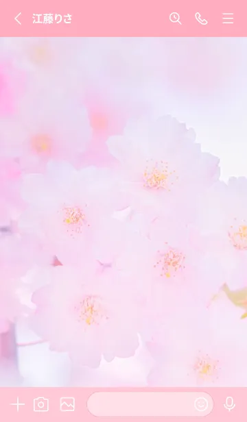 [LINE着せ替え] Sakura Photo 353 Not AIの画像2