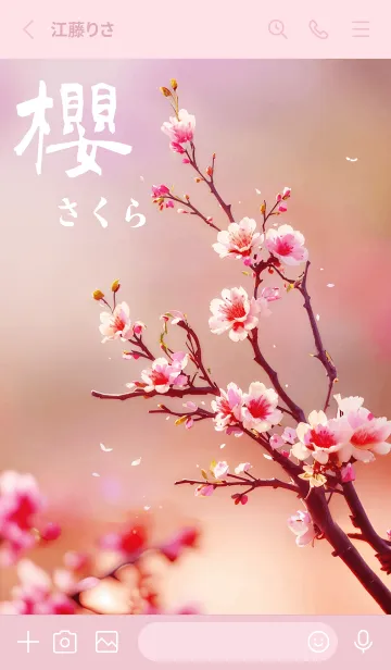 [LINE着せ替え] 日本の超美しい桜(ソフトピンク)の画像2