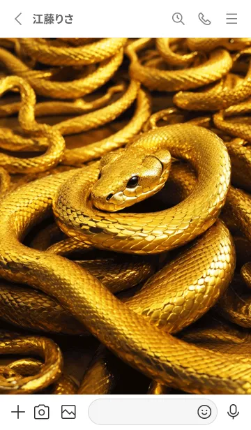 [LINE着せ替え] 黄金の蛇 幸運の65の画像2