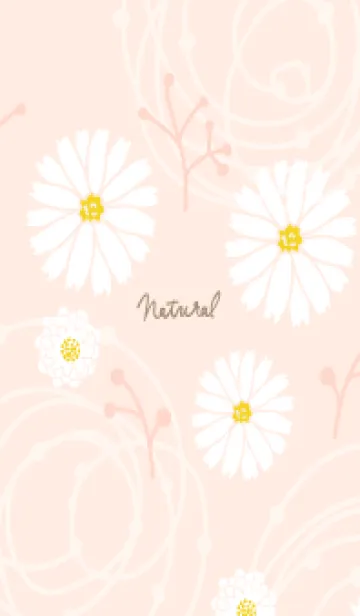 [LINE着せ替え] シンプル 白色の花17の画像1