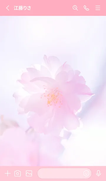 [LINE着せ替え] Real double cherry blossom #12-1の画像2