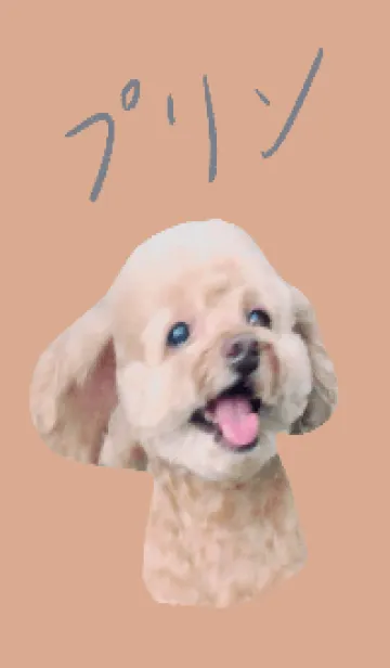 [LINE着せ替え] My Pet Doggg Newの画像1