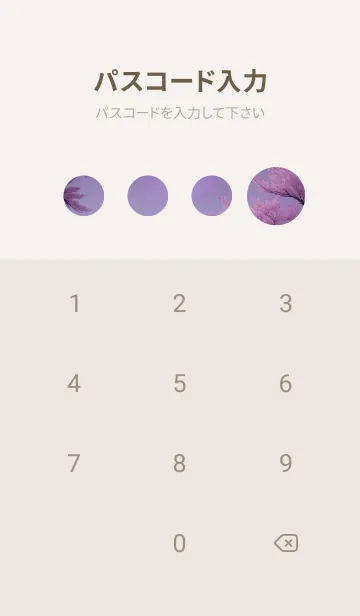 [LINE着せ替え] 夜に満開の桜 6T6Nwの画像4