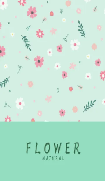 [LINE着せ替え] FLOWER MINT GREEN-NATURAL 11の画像1